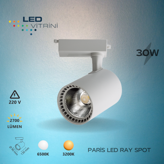 30 Watt Ray Spot Beyaz (Paris)