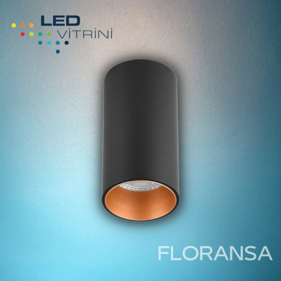 Sıva Üstü Dekoratif Kasa - Floransa