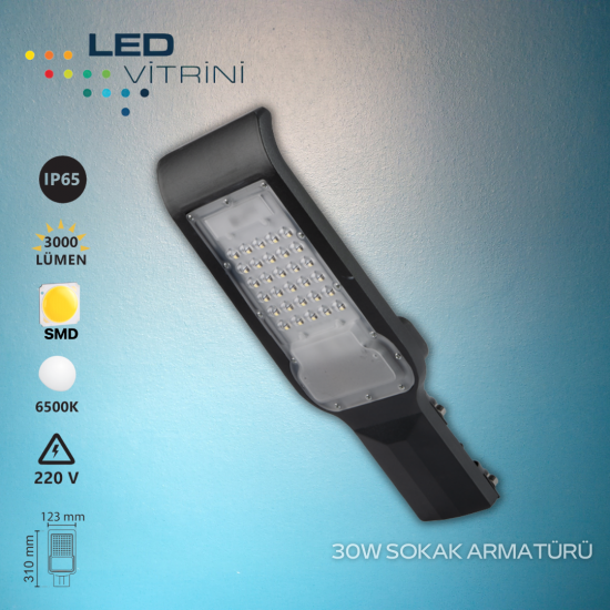 50W Sokak Armatürü