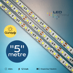 3 Çipli Şerit Led- 4040 (Gün Işığı)